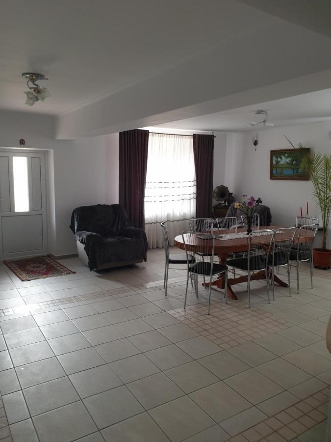 Casa Maia Appartement Cîrţişoara Buitenkant foto