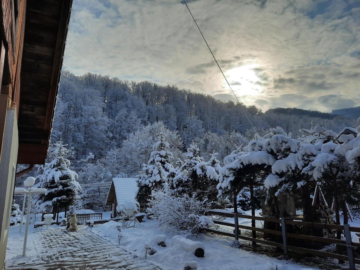 Casa Maia Appartement Cîrţişoara Buitenkant foto