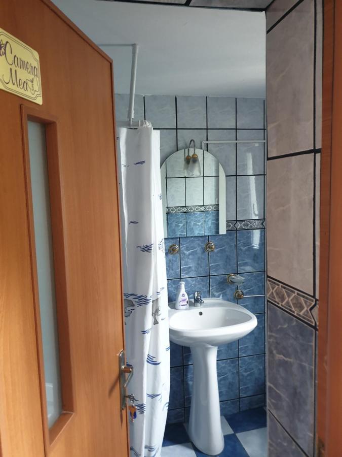 Casa Maia Appartement Cîrţişoara Buitenkant foto