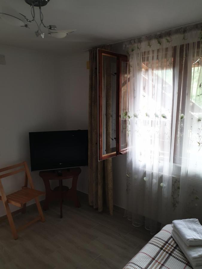 Casa Maia Appartement Cîrţişoara Buitenkant foto