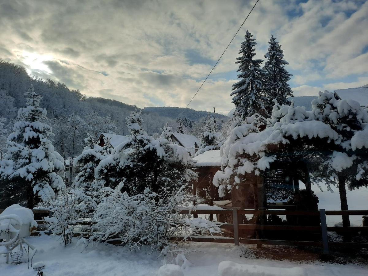 Casa Maia Appartement Cîrţişoara Buitenkant foto