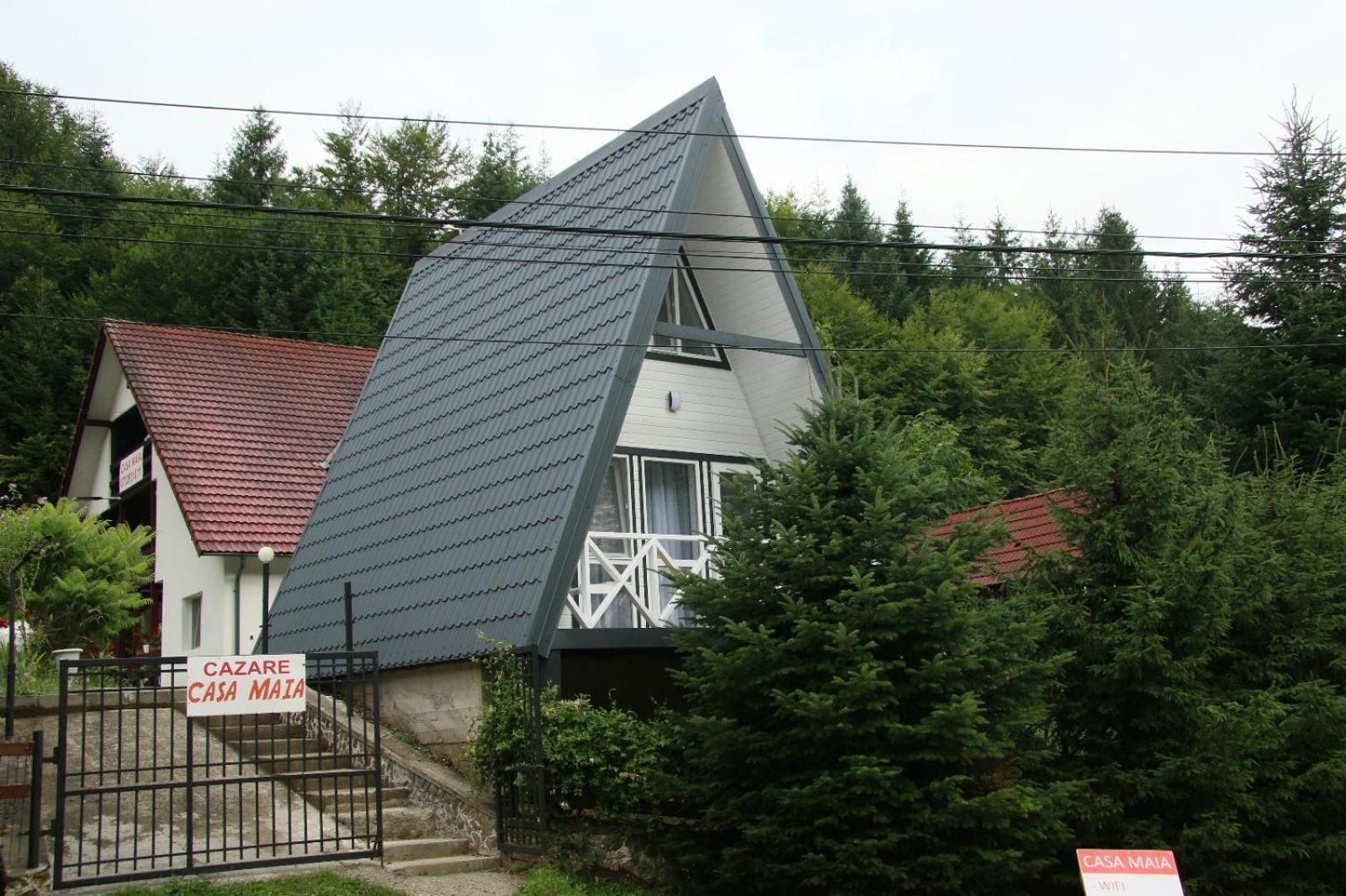 Casa Maia Appartement Cîrţişoara Buitenkant foto
