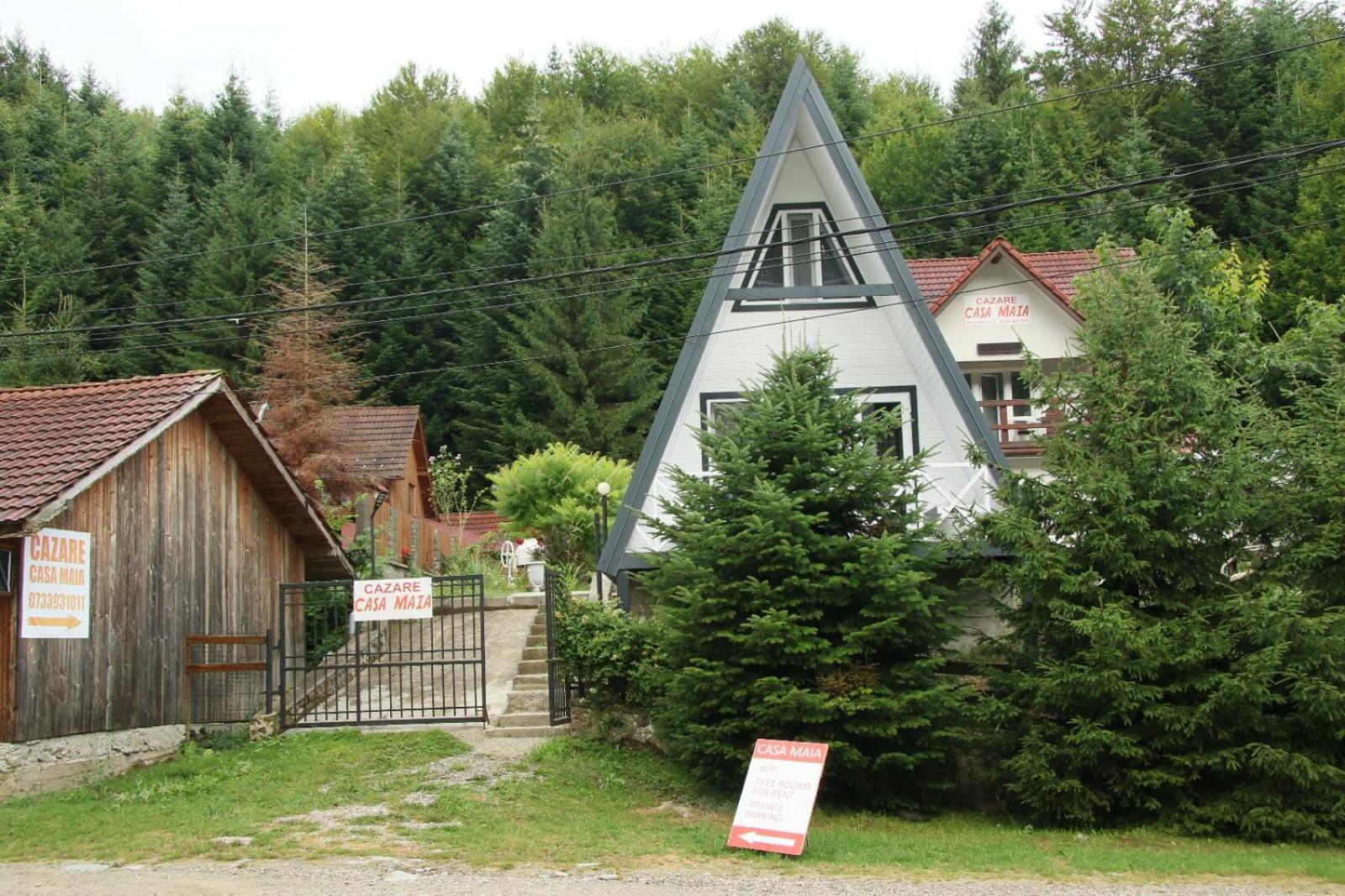 Casa Maia Appartement Cîrţişoara Buitenkant foto